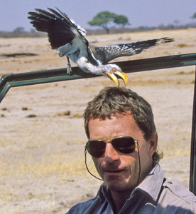 Yellowbilled Hornbill with Dave